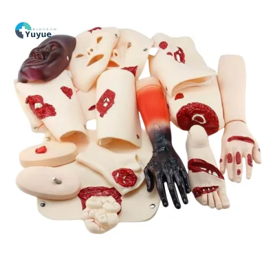 16-Part PVC Trauma Care Manikin Medical Science Training Model for Trauma Assessment Module for Medical and Nursing Teaching