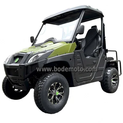 Bode New Design 5000w 2 Seat Go Kart Auto Automatic 4x4 Utv for Sale CE EPA Electric UTV 4x4