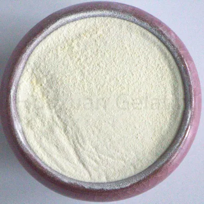 Meat Extract Peptone for Microbial Fermentation Global Supply Huaxuan