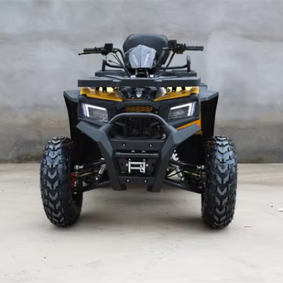 China 200cc Street Legal Atv for Sale