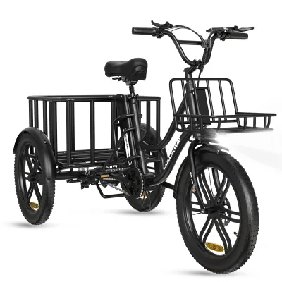 COLORWAY BK39M Wholesale Cargo E-Bike WithS866 LCD Display 48V 18Ah for US Market CE Certified