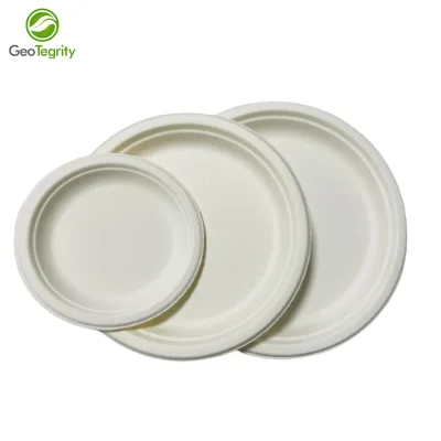 9 Inch Top Seller Sugarcane Bagasse Pulp Eco-friendly Biodegradable Disposable Paper Plate for Camping Water & Oil Resistant