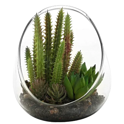 High Borosilicate Glass Terrarium Container Slanted Opening Teardrop Shape Vase Hydroponic DIY Mini Moss Succulent