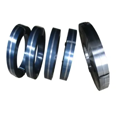 Top Quality AISI 1074 1075 Carbon Steel Springs Tempered Spring Steels