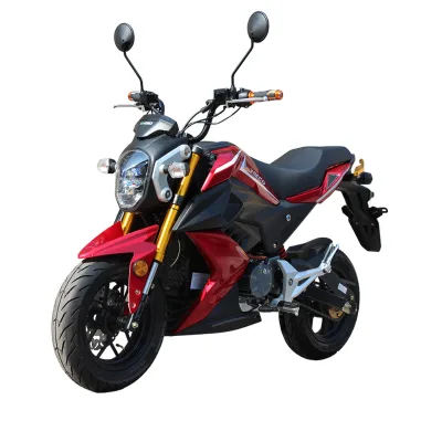 Champ CP1200DGS-4 EEC 60V/30A Lithium Battery Adult High-Speed 60Mph Red Electric Sportbike Off-Road 60-80KM Range 150kg Max