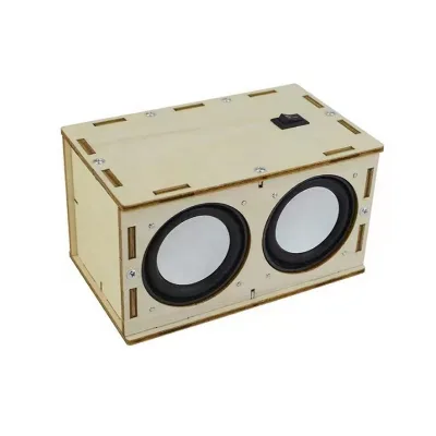 Starter Kit for Physical Science Classroom Stereo Sound Amplifier Speaker Educational Toy