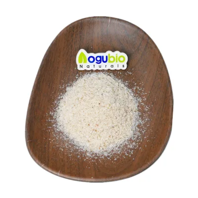 99% Purity Psyllium Husk Powder | Food Grade Soluble Fiber | Bulk Supply