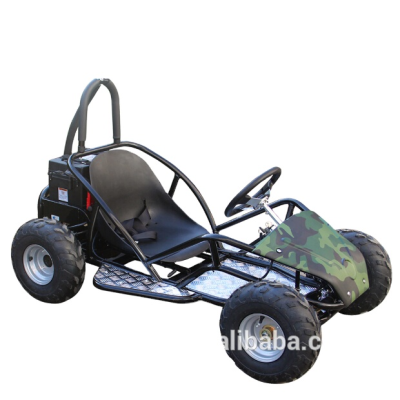 1000W Go Kart Cheap Electric Go Karting for Kids Electric Go Kart