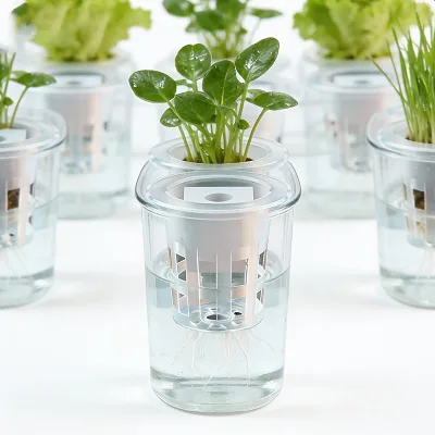 Hydroponic Seedling Basket Set of 10, With 10 Baskets & 10 Seed Sponges, Stable Seed Fixing to Avoid Floating & Drifting