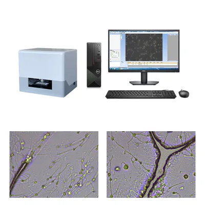 IN-QB200C1 Mini Veterinary Sperm Analyzer Rapid On-Site Semen Quality Assessment