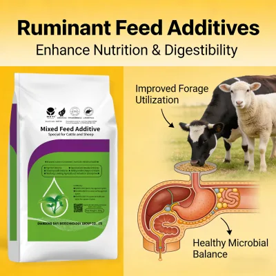 Feed Grade Probiotic Fermentation Agent for Cattle Saccharomyces Cerevisiae Enhance Rumen pH Stability and Milk Fat