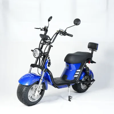 SHUNYANG Chinese Production Factory's Newly Designed 1000W EBIKE Aluminum Frame Long Range Popular Exported Brazil South America