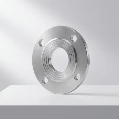 Custom Size Large Diameter Flat Face Blind Welding Forging Slip on Industrial Stainless Steel Flange for Oil and Gas