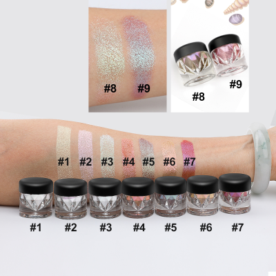 Private Label Custom Neutral No Logo Glitter Pearl Eye Shadow Powder 9 Colors Eye Makeup Color Changing Chameleon Eyeshadow