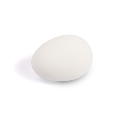White Solid Plastic Eggs Pigeons Eggs Dummy Eggs