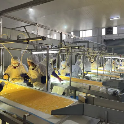 Fresh Orange Grapefruit Canned Fruit Products Canning Milk Tea Raw Material Factory Fruit Products Canned Food