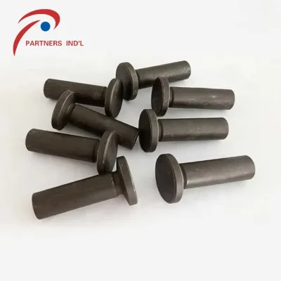 Zpartners Machinery Engines Spare Parts B3.3 QSB3.3 Engine Valve Tappet C6204412110 4982154 Engine Parts Product Type