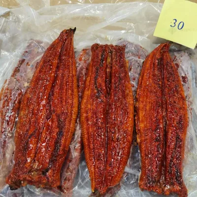Frozen Roasted Eel Sushi Eel Broiled Eel - (HACCP, BRC, ISO, EU Approval)