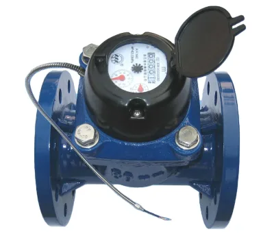 IP 68 LoRaWAN, NB-IoT, WIFI, M-BUS, RS485 Communication Ultrasonic Water Meter with Remote Control Valve