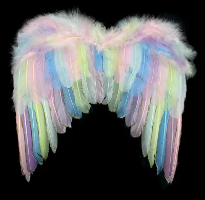 HS Fairy Feather Angel Wing for Adult Christmas Gift Holiday Ornament Party Costume Cosplay Dance Carnival Halloween Decor