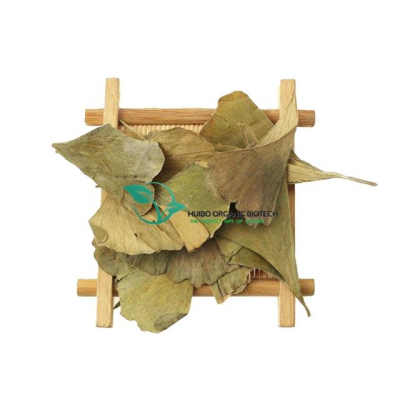Dried Ginkgo Biloba Leaves / Ginkgo Leaf Powder