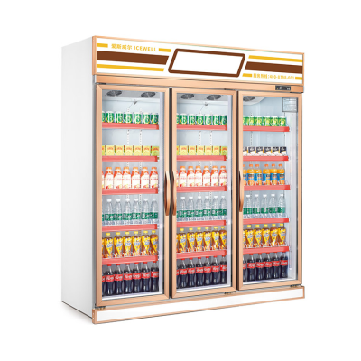 High Quality Refrigerators for Flowers Vertical Freezer Home Refrigerator Refrigeration Equipment Display Fridge