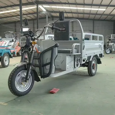 Electric Cargo Tricycle Three Wheeler Aluminum Frame 3 Speed Electric Vehicle for Eco-Friendly Urban Commuting Solutions