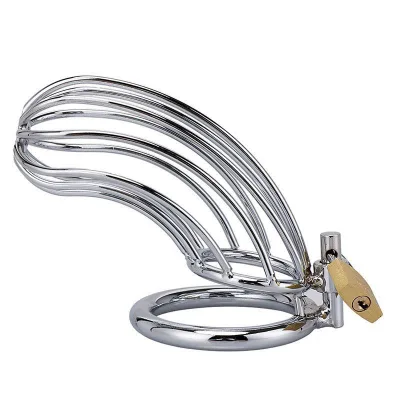 Shape Hollow Chastity Stainless Steel Male Chastity Device BDSM Bondage Gear with Penis Lock Cock  for Adults
