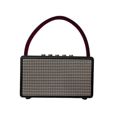 Professional Rechargeable Leather Bluetooth Speaker for Music, Party, Karaoke