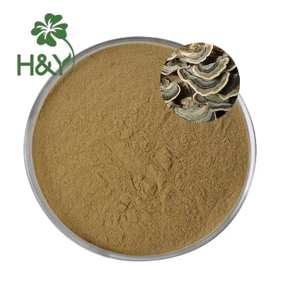Factory Supply High Quality Turkey Tail Mushroom Extract Turkey Tail Mushroom Extract Capsule