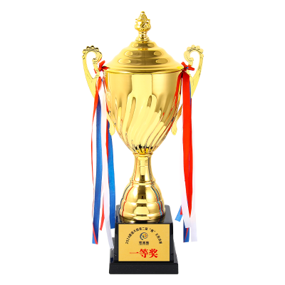 Collection Professional Metal Sports Winner Trophy Interactive Tournament Souvenir Award Historical Milestone Championship Award