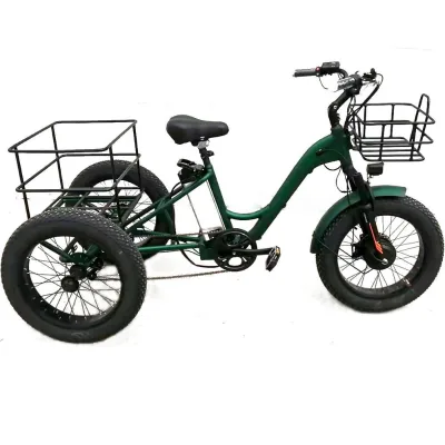 20inch Aluminum Alloy Industrial Tricycle with Fat Tyre (FP-ETRI22001)