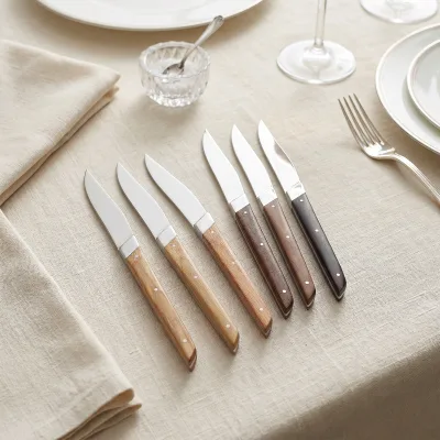 OEM & ODM Supported Stainless Steel Knife Set Cutlery Set Razor Sharp Edge Steak Knives for Restaurant