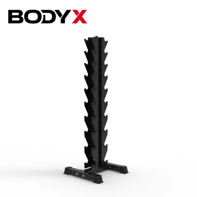 VDR001-10A Commercial Gym Equipment Vertical Dumbbell Rack for Dumbbell Storage