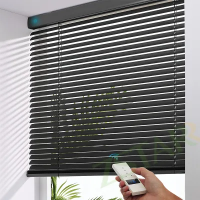 Cassette Indoor Windproof Blackout Roller Blinds Rechargeable Tubular Smart Window Blinds