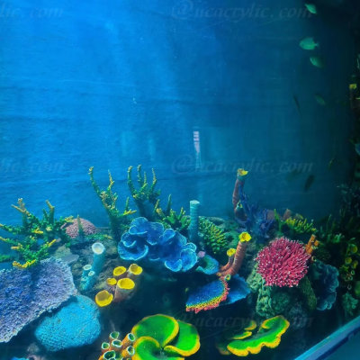 Factory Landscaping Coral Black Red Coral Fake Coral for Aquarium Viewing Fish tank and Crystal Ultra-white Glass Fish tank