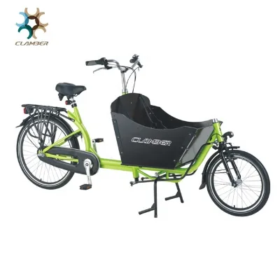 Nanyang/clamber 9015E 250W 36V 9AH Cargobike V/coaster/roller Brake 20'' 26'' Steel Frame