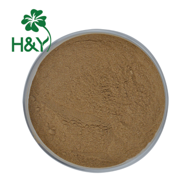 Supply Natural Plants Extract Pure Siberian Ginseng Root Powder Siberian Ginseng Extract
