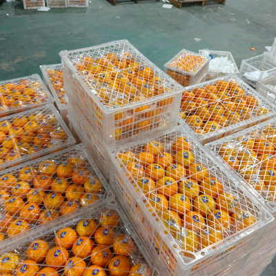 Fresh Oranges Yellow Juicy Sweet Citrus Healthy Nutritious Orange Best Quality