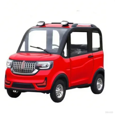 CHANGLI High Performance Electric Car 4-Wheel Electric Vehicle Automatic Gearbox Left-Hand Leather China Factory Supplier