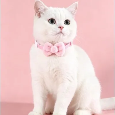 Pet Velvet Bow Tie Collar Princess-Style Bowknot Cat Puppy Necklace Choke-Proof Made in Yiwu Zhejiang for International Trade