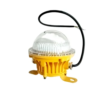 High Lumen IP65 Waterproof ATEX 20w LED Ceiling Mount Lights Explosion Proof LED Ceiling Lamps