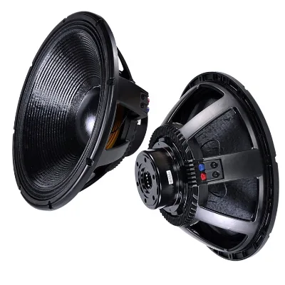 Speaker Driver for Dual 18 Inch Neodymium Subwoofer Box Design