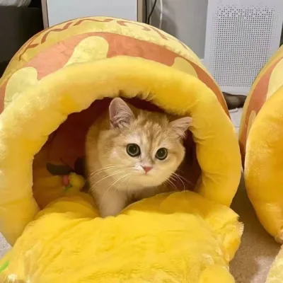 Lovely Honey Jar Pet Nest Cat House Yellow Washable Cat Sleeping Bag Keep Warm