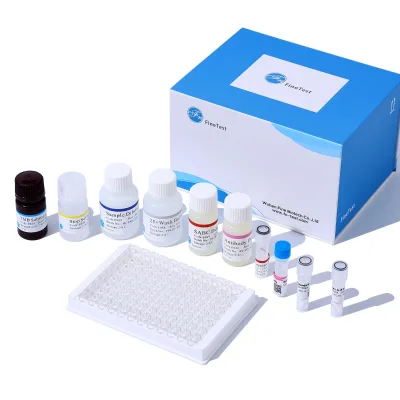 FineTest Custom Chemical Services Bovine HSP70 ELISA Kit Scientific Research Heat Shock Protein 70