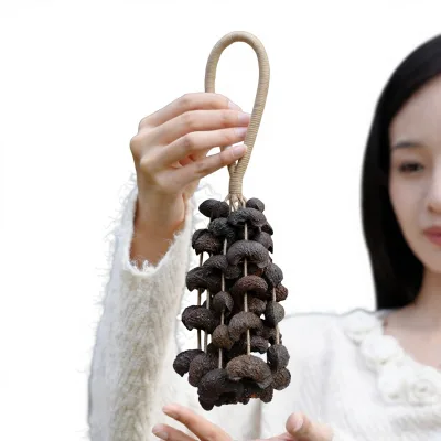 Yun Yu Natural Plant Shell Rattles Handmade Niche Accompaniment Sound Beam White Noise Healing Hand Crank Wind Chime China