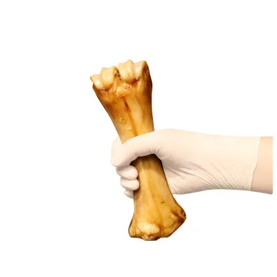 High-End High-quality Delicious Nutritious Calcium-rich Skills Training Molar Sticks That Exercise Food for Dogs