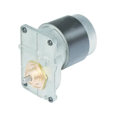 Swimming Pool Robot Cleaner Pump Motor and Walking Motor 5500026