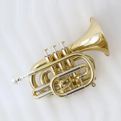 Focustyle Suitable for Beginners FPT-300L BB Tone Pocket Trumpet Monel Valves Brass Body Gold Lacquered 7C Mouthpiece OEM