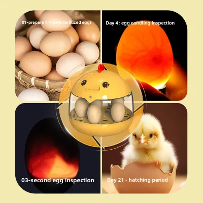 Smart Portable Egg Hatching Incubator Poultry Bird Parrot Raising Family Use Constant Temperature Water Bed Hatching Device